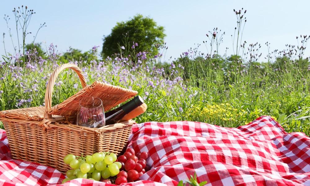 Top tips for al fresco dining and picnics | Apetina